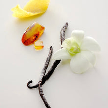 Load image into Gallery viewer, Maison Louis Marie No.15 Vanille Infinie 3ml Perfume Oil