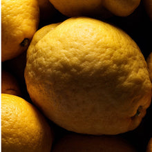 Load image into Gallery viewer, Marie Jeanne Leon