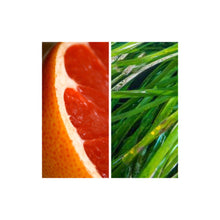 Load image into Gallery viewer, MODM Hand + Body Wash - Grapefruit + Seagrass