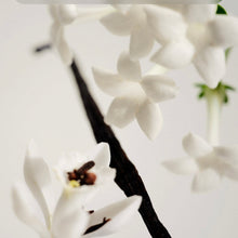 Load image into Gallery viewer, Maison Louis Marie No.3 L’Etang Noir 3ml Perfume Oil
