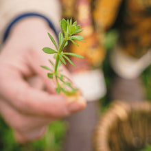 Load image into Gallery viewer, Celtic Spring Awakening Event : Supporting your body both inside + out as we navigate the new season
