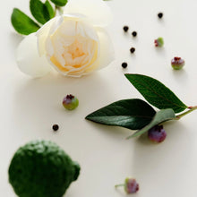 Load image into Gallery viewer, Maison Louis Marie Candle  - Antidris Cassis - Scented Candle
