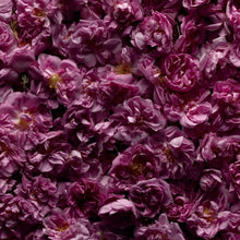 Load image into Gallery viewer, Marie Jeanne Rose Shiso Eau de Parfum
