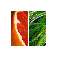 Load image into Gallery viewer, MODM Hand + Body Wash - Grapefruit + Seagrass
